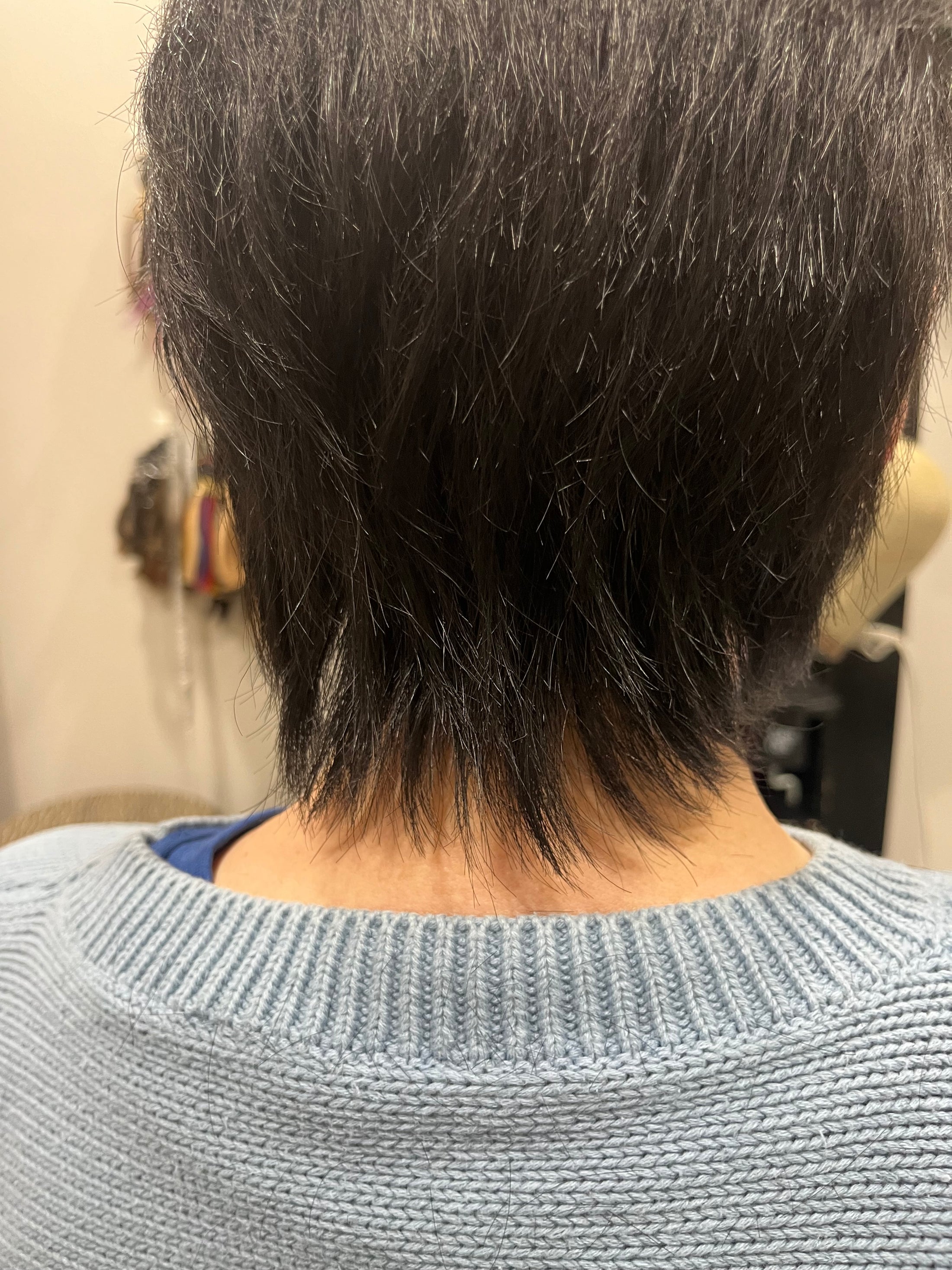 Short Styled Wigs
